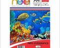 Papel Fotográfico A4 120G C50F