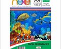 Papel Fotográfico A4 180G C50F