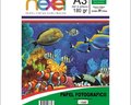 Papel Fotográfico A3 180G C20F